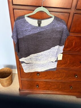 CLARA SUNWOO Navy and Light Blue Short Sleeve Colorblock Top